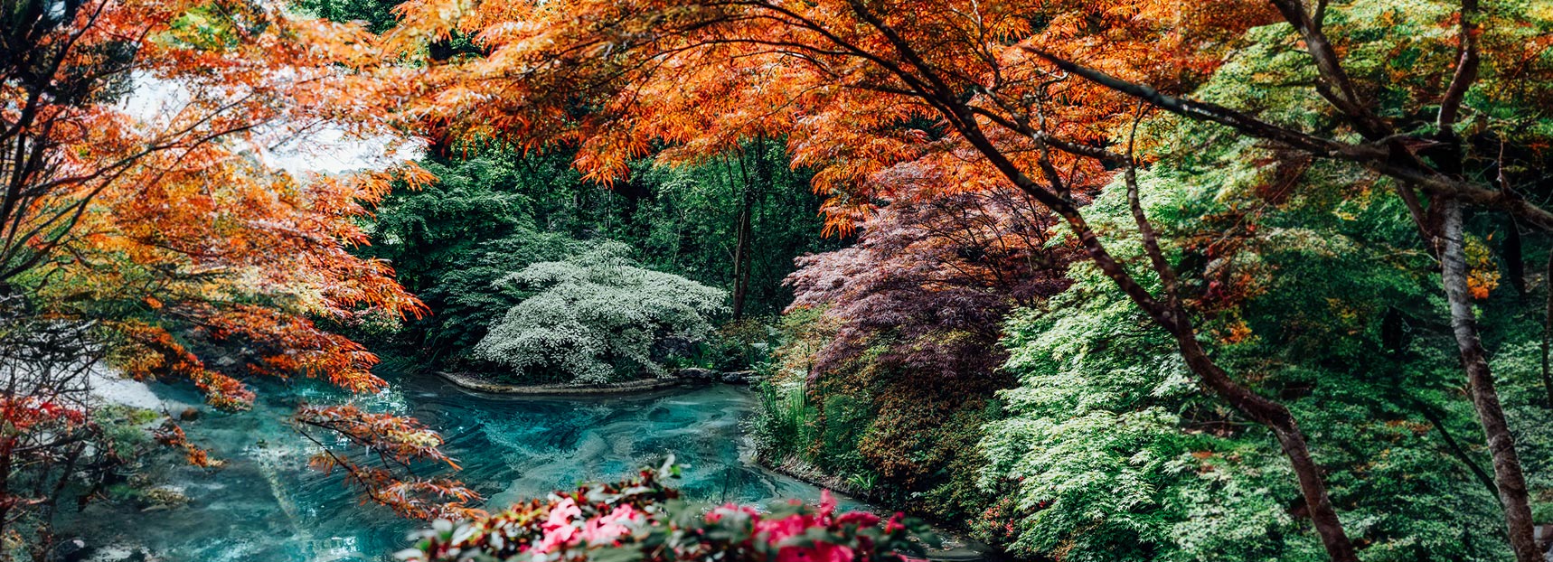 10 Hacks to Happiness That Are Science Backed and Fully Proven to Work