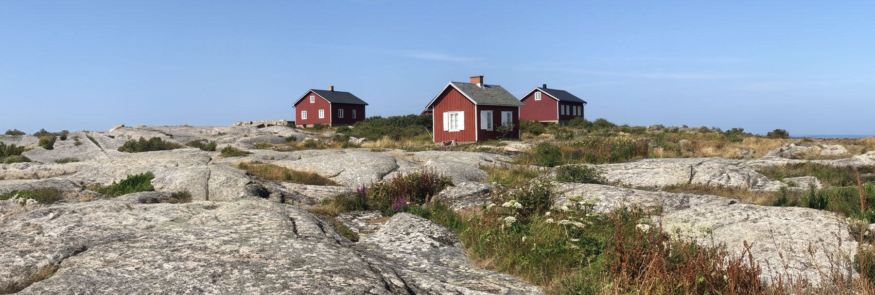 Discovering Swedish Health and Wellness Traditions: A Journey to Balance and Vitality